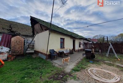 Teren Construcții intravilan de 1300 mp, în Jebel - 6