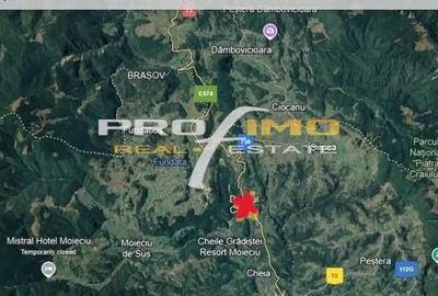 Teren de 3750 mp, în Moieciu - 2