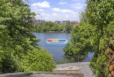 Vila Lacul TEI PETRICANI INSULA LAC 1900 MP TEREN - 18