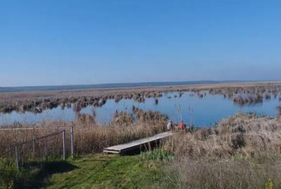 Teren de 4000 mp, în Budeni - 8