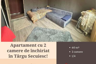 Apartament cu 2 camere în Central - 1