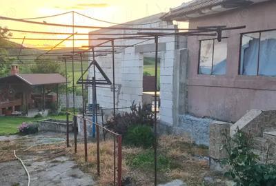 Vand casa in satul Bistrita, la 12 km de Severin