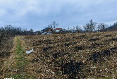 Spațiu comercial, în Măgura - 11