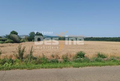 Teren agricol extravilan de 10400 mp, în Bălteni - 2