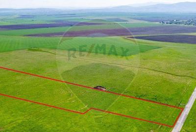 Teren agricol 5 ha, extravilan, 52 m deschidere la ?osea - 1