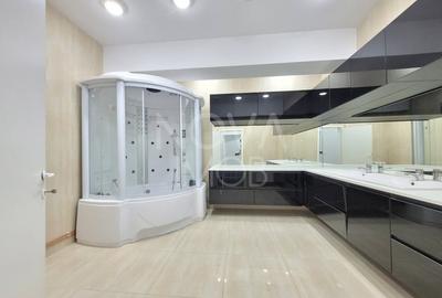 Penthouses de inchiriat, 245 mp. utili + 65mp. terasa - Mihai Viteazu - 10