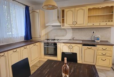 VIDRA - COMPLEX DEALUL VERDE, CASA 4 CAMERE, 135MP Utili! - 6