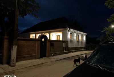Casă cu 3 camere cu Teren 2000 Mp în Băcia - 12