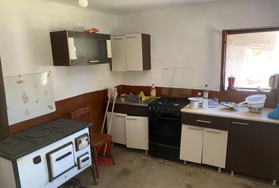 Casa cu anexe gospodare?ti ?i 40 ari teren Tataresti, Satu-Mare - 9
