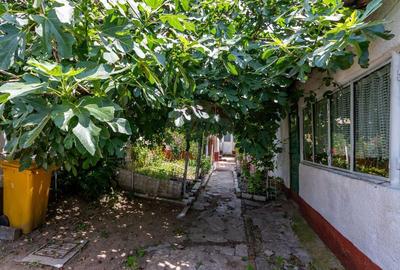 Teren de vanzare strada Frunzei | Piata Muncii - 8