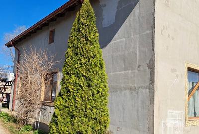 Casă cu 5 camere în Traian - 3