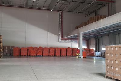Spațiu industrial, de 2,450 mp, în Ștefăneștii de Jos - 3