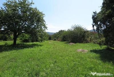 Teren de 17777 mp, în Central - 13