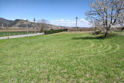 Teren de 3100 mp, în Moldovenești - 6