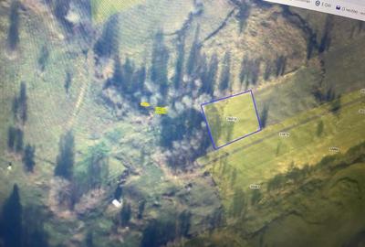 Teren Extravilan Cacica 1600mp - 1