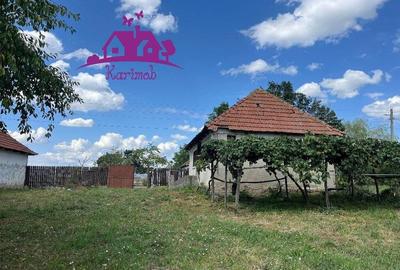 Casa in localitatea Carandeni - 6