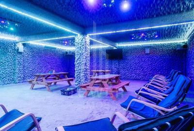 Afacere Profitabilă de Vânzare–Salină Artificială Funcțională în Ocna Sibiului - 2