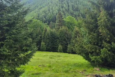 Teren de 300 mp, în Brădățel - 5