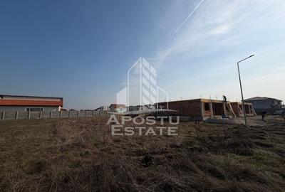 Teren Construcții intravilan de 600 mp, în Moșnița Nouă - 3