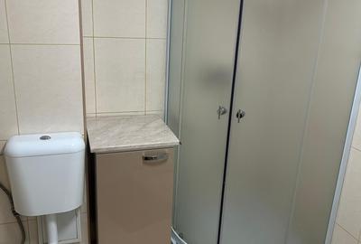 Garsonieră spațioasă de vânzare – Strada Cremenita/ Mansarda - 8