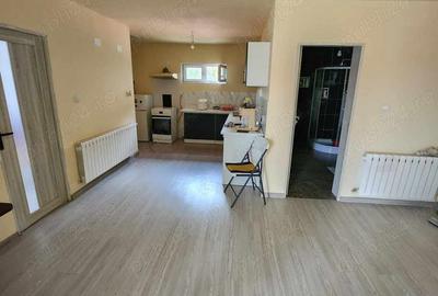 Csa de vinzare Csa de vinzare - 3