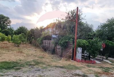 Teren 1,000mp Ciorogarla / None - 3