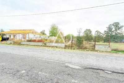 Teren Construcții intravilan de 3695 mp, în Runcu - 5