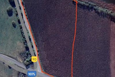 Teren lacurile de la Ciurila, extravilan, 1.7ha - 1