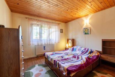 Casa rustica P+1 in zona de deal Bogati, AG - 4