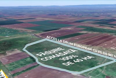Teren PASUNE de 40ha, Comasat 100% cu FS de 961 ml la Drumul European - 1