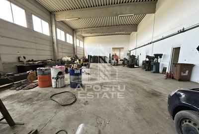 Hala de inchiriat 929 mp, C Aradului - aproape de Satimpe... - 4