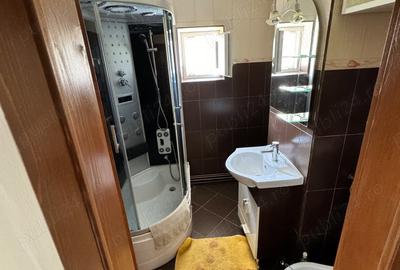 Apartament cu 3 camere decomandat în Lugoj - 10