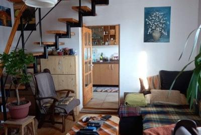 Casa cu 5.000 mp teren la E 60, zona Osorhei - 5
