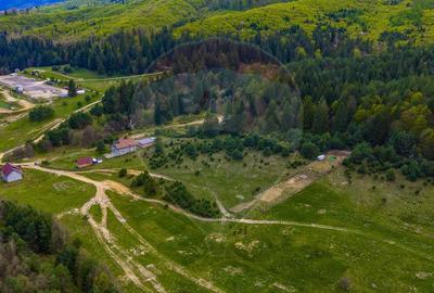 Teren Construcții intravilan de 10000 mp, în Brebina - 10