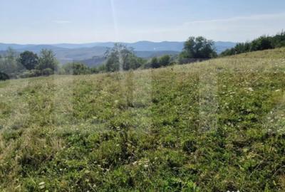 Teren de 10000 mp, în Central - 2