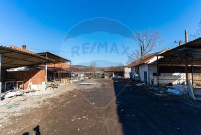 Spatiu de productie,Ferma agricola Uroi/ jud. Hunedoara - 10