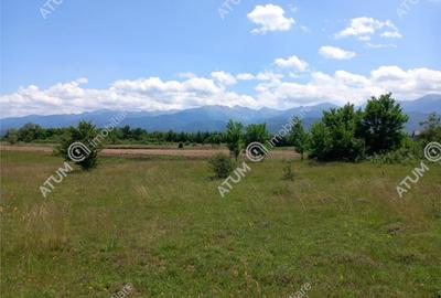 Teren de 5000 mp, în Avrig - 18