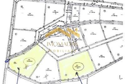 Sacalaz-Zona Industrială II-Disponibilitate Imediata - 4