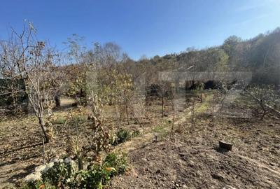 Casă cu 5 camere cu Teren 750 Mp în Central - 2