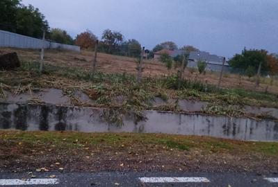 Carligele, jud. Vrancea - 2