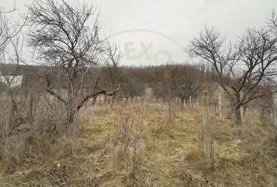 0% Comision Teren intravilan 814 MP-Stefanesti-Valea Mare Podgoria! - 2
