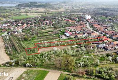Casă cu 3 camere cu Teren 2500 Mp în Burdea - 17