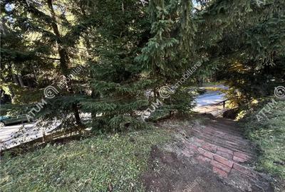 Spațiu comercial, în Paltin - 16