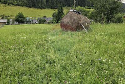 Teren intravilan 4822 mp C. Moldovenesc, Suceava - 13