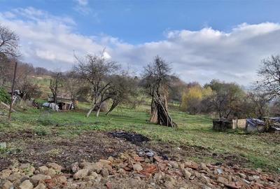 RECO Teren intravilan in Borod, Bihor 1750mp - 4