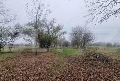 OPORTUNITATE TEREN 0,9 Ha intravilan constructii+extravilan - 3