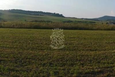 Teren agricol extravilan de 5500 mp, în Jelna - 1