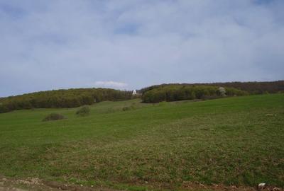 Teren de 2200 mp, în Dobârlău