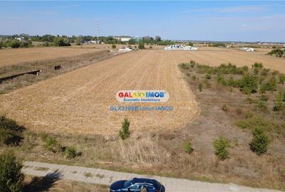 Teren Bragadiru - Podisor - 3