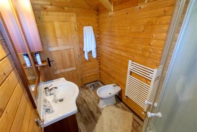 Casă individuală cu 3 camere cu Canalizare în Ciclova Română - 18